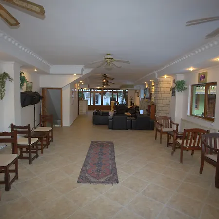 Oscar Boutique Homestay *